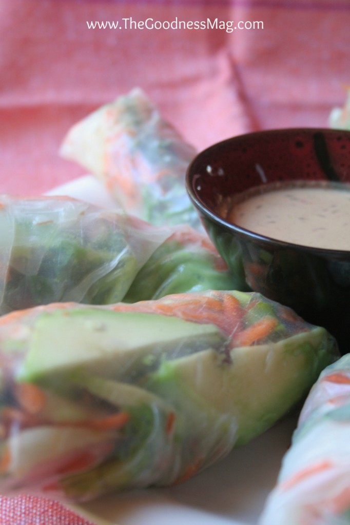 rice paper rolls with peanut dipping sauce