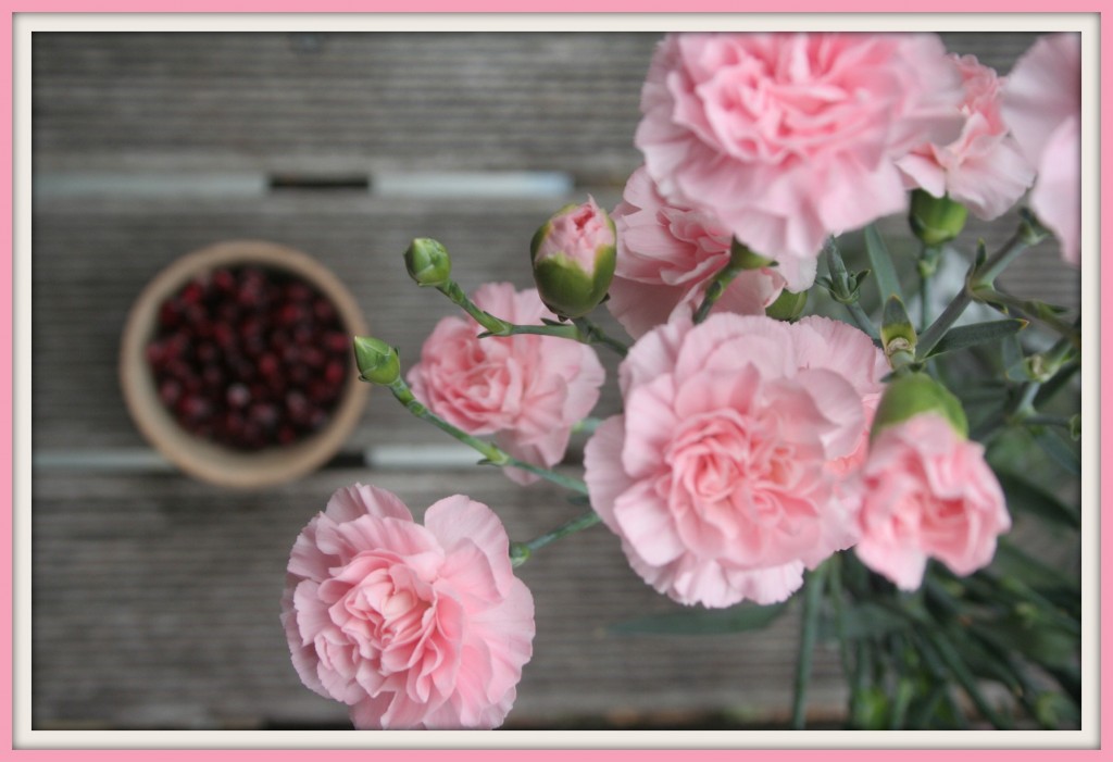 snacking pomegranates with camellia flowers