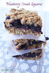 organic blueberry crumb squares