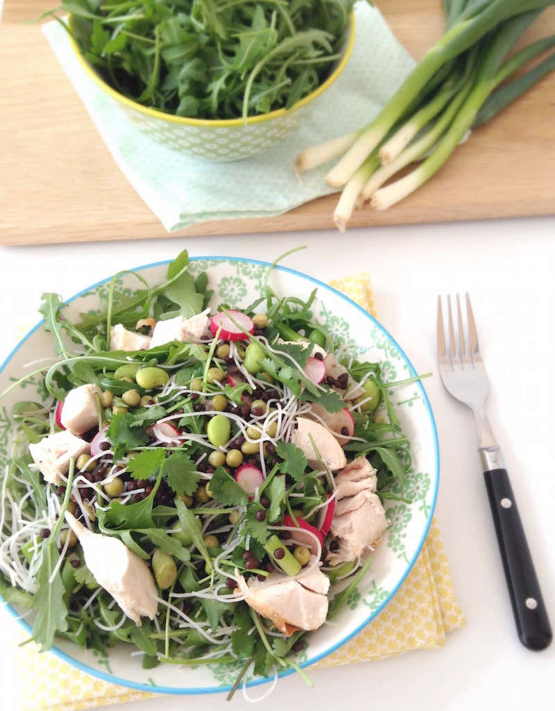 Healthy Chicken Rice Noodle Salad